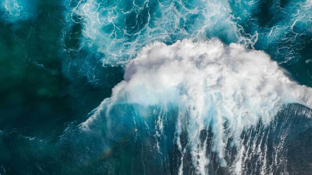 Riding the Waves Of Economic Uncertainty